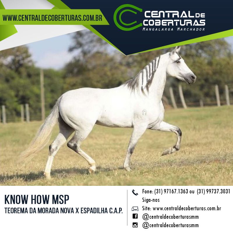 KNOW HOW MSP KNOW HOW MSP